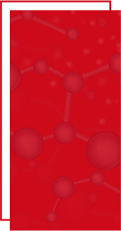 青島聯發食品科技有限公司